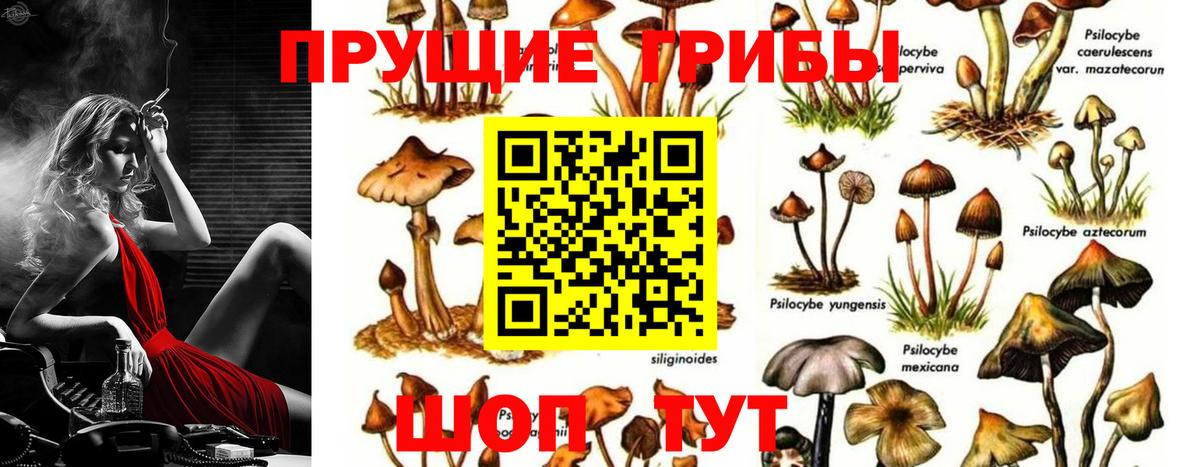 даркнет сайт  Вход с VPN  Лыткарино  Галлюциногенные грибы Cubensis 
